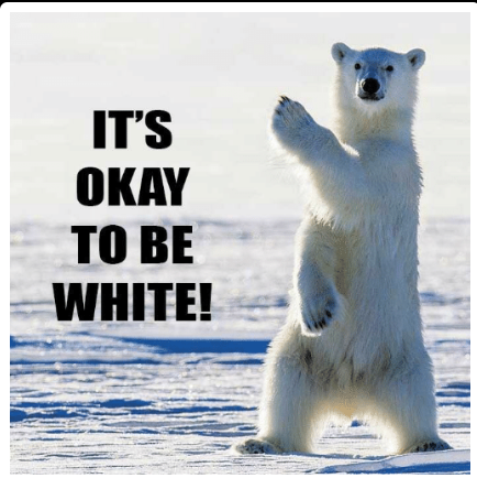 It is white. Its ok to be White. It's okay to be White. Proud to be White. To be less White.